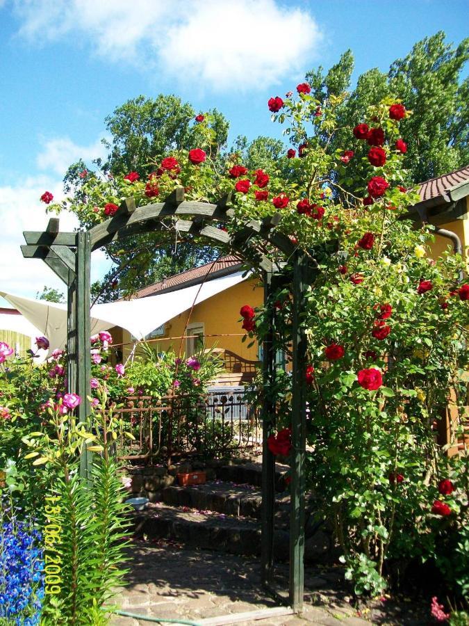 Barrel -Schlafen Im Fass Hotel Gorleben Exterior photo